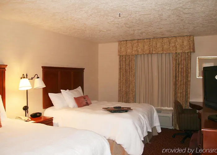 Hotel Hampton 3*